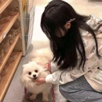 幻想神域r无限钻石版下载
